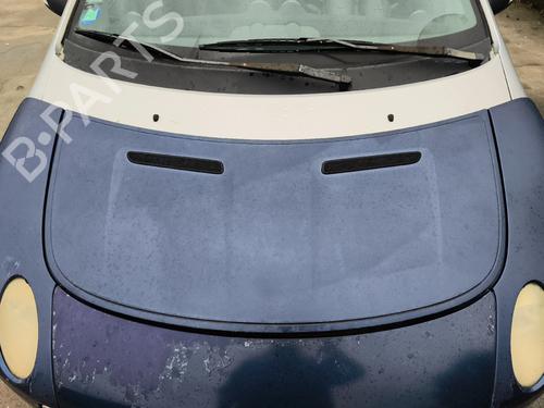 hood-smart-forfour-454-2004-2005-2006-34626527 main image