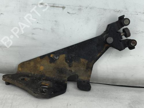 hingedoor-check-strap-renault-kangoo-express-fw01_-2008-34717217 main image