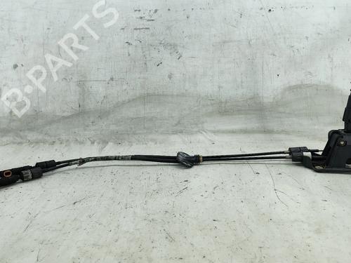 Gearstang Gearstang 35775473 35775473