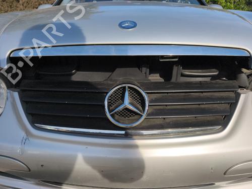 grille-mercedes-benz-c-class-coupe-cl203-2001-2002-2003-2004-2005-2006-2007-2008-2009-2010-2011-35795169 main image