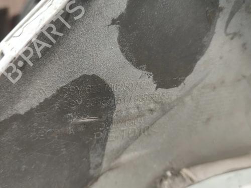 Grill NISSAN PRIMASTAR Van (X83) 2.0 dCi 115 | BP35916443C40 - Image 5