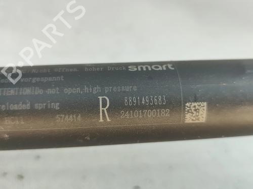 Tailgate lift support SMART #3 EV | BP35932800C138 - Image 6