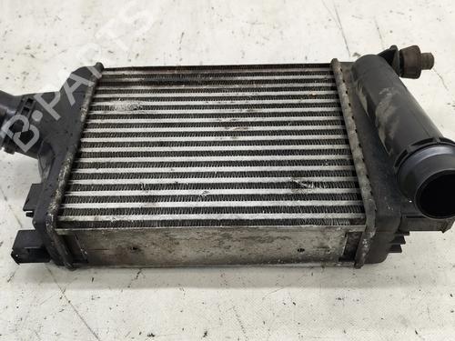 Intercooler DACIA LODGY (JS_) 1.5 dCi (JSMC, JSAF) | BP36003774M30 - Image 5