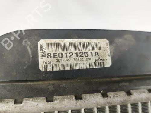 Water radiator SEAT EXEO ST (3R5) 2.0 TDI | BP36047566M31 - Image 5