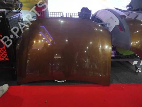 Used Hood Hood DACIA DUSTER (HS_) 1.2 TCe 125 (125 hp) 36206241 36206241
