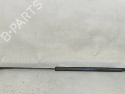 hood-lift-support-dacia-duster-hs_-2010-2011-2012-2013-2014-2015-2016-2017-2018-36206088 main image