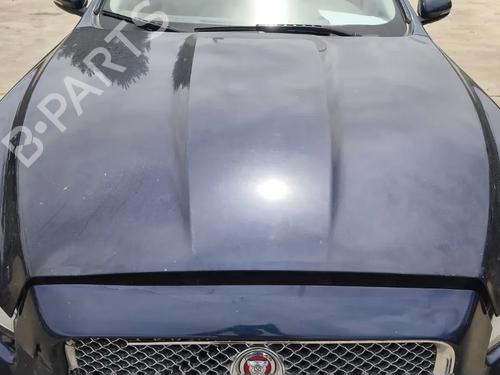Used Hood Hood JAGUAR XJ (X351) 3.0 SDV6 (275 hp) 36410732 36410732