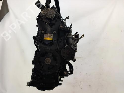 Engine TOYOTA COROLLA (_E12_) 1.4 D (NDE120_, NDE120R) | BP29887251M1 - Image 6