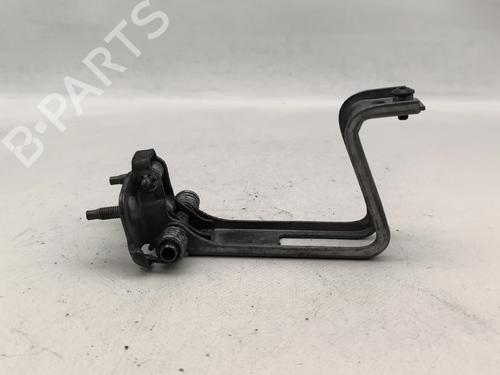 hingedoor-check-strap-renault-kangoo-express-fw01_-2008-36567967 main image