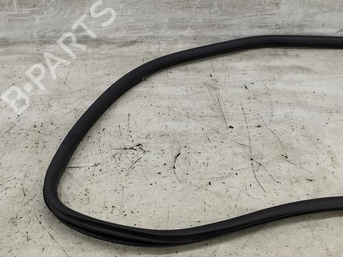 Rubber door seal CITROËN C4 CACTUS 1.6 BlueHDi 100 | BP37001451C142 - Image 2