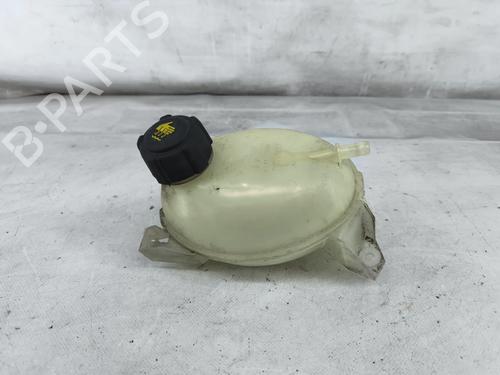 expansion-tank-dacia-lodgy-js_-2012-37180302 main image