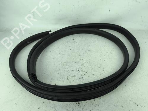 Gummiliste Gummiliste DACIA SANDERO II 1.2 (75 hp) 37155575 37155575