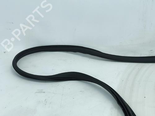 Gummiliste FORD B-MAX (JK) 1.0 EcoBoost | BP37282730C142 - Image 2