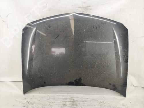hood-renault-laguna-ii-bg01_-2001-2002-2003-2004-2005-2006-2007-37295645 main image