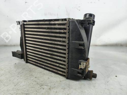 Intercooler DACIA SANDERO II TCe 90 (B8M1, B8MA, B8AC) | BP37430969M30 - Image 5