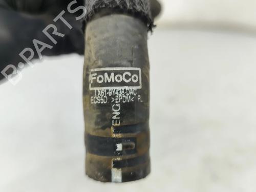 Pipe FORD KUGA III (DFK) 2.0 EcoBlue mHEV | BP37475976M125 - Image 5