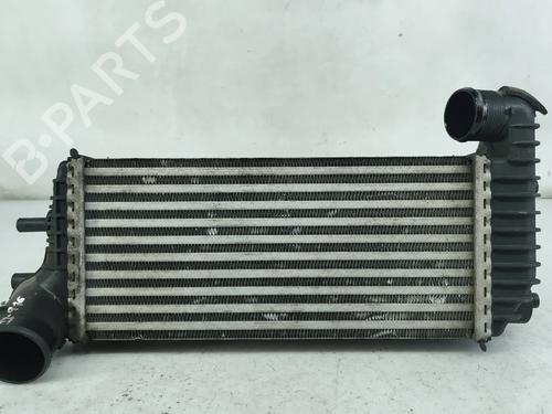 Used Intercooler Intercooler FORD TRANSIT CONNECT V408 Box Body/MPV 1.5 TDCi (101 hp) 37606741 37606741