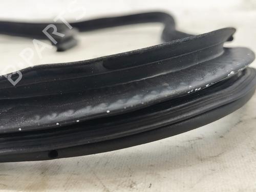 Gummiliste JAGUAR XE (X760) 2.0 D | BP37639715C142 - Image 4