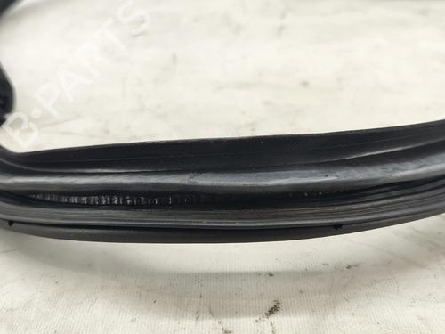Gummiliste JAGUAR XE (X760) 2.0 D | BP37639713C142 - Image 2