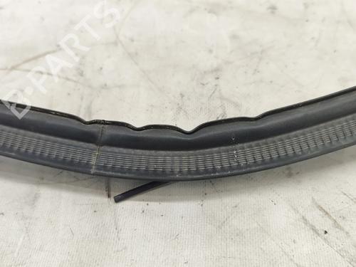 Gummiliste JAGUAR XE (X760) 2.0 D | BP37639711C142 - Image 5