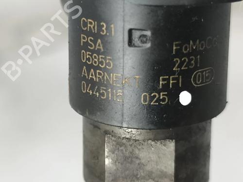 Injector CITROËN C5 II (RC_) 2.2 HDi | BP38013936M100 - Image 9