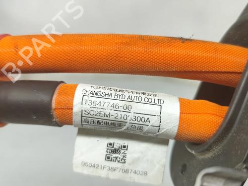 Wiring harness BYD DOLPHIN EV | BP38337728E16 - Image 6