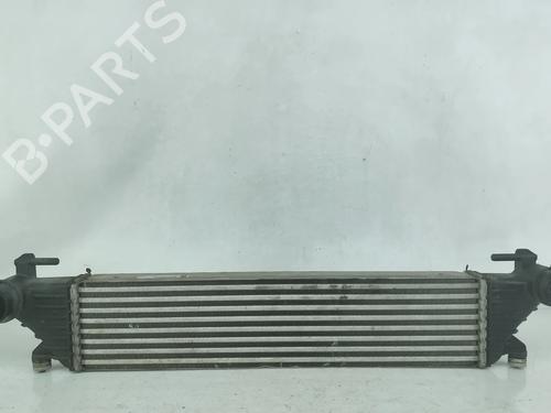 Used Intercooler Intercooler FIAT TIPO Hatchback (356_, 357_) 1.3 D (356HXH1A) (95 hp) 38338326 38338326