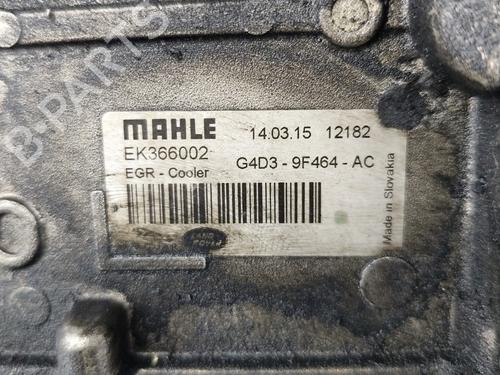 Egr JAGUAR XE (X760) 2.0 D | BP38525897M69 - Image 5