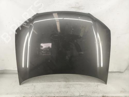 hood-audi-a3-8p1-2003-2004-2005-2006-2007-2008-2009-2010-2011-2012-2013-38536618 main image