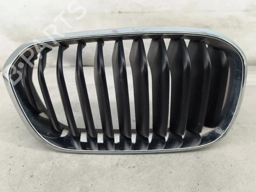 grille-bmw-1-f20-2011-2012-2013-2014-2015-2016-2017-2018-2019-39097868 main image