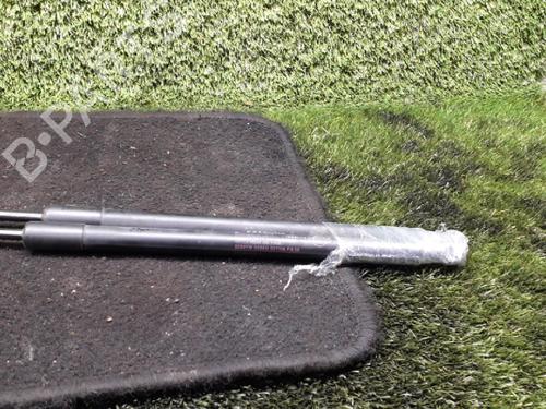 Used Tailgate lift support NISSAN QASHQAI I (J10, NJ10) 1.5 dCi (110 hp) 14411148