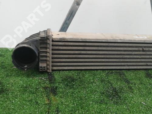 Intercooler MERCEDES-BENZ A-CLASS (W169) A 200 CDI (169.008, 169.308) | BP6183579M30 