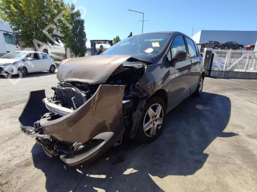 Charnière/Limiteur de porte RENAULT GRAND SCÉNIC III (JZ0/1_) 1.5 dCi (JZ09, JZ0D, JZ10, JZ14, JZ1G, JZ29, JZ2C) | BP19287178C146 