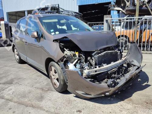 Charnière/Limiteur de porte RENAULT GRAND SCÉNIC III (JZ0/1_) 1.5 dCi (JZ09, JZ0D, JZ10, JZ14, JZ1G, JZ29, JZ2C) | BP19287178C146 
