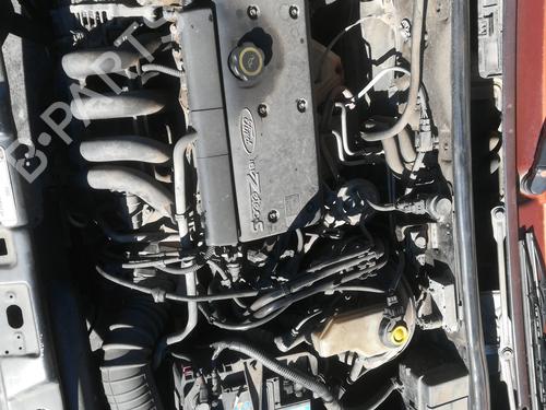 Seat buckle FORD FIESTA IV (JA_, JB_)  | BP8070975I32 