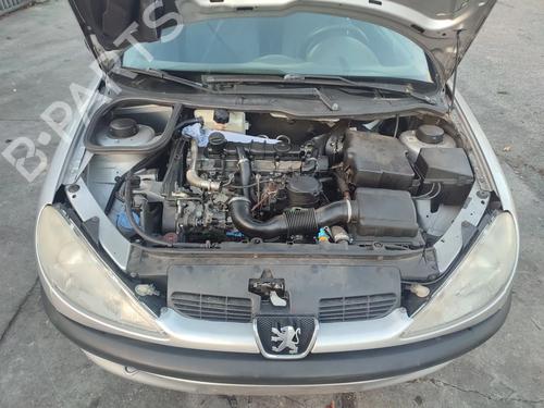 Hinge/Door check strap PEUGEOT 206 Hatchback (2A/C) 1.9 D | BP30578802C146 