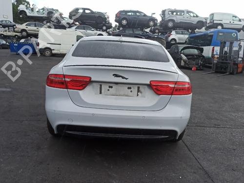 - Image 6