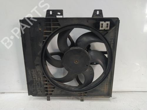 Used Radiator fan PEUGEOT 207 (WA_, WC_) [2006-2015]  24039810