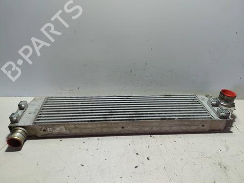 Intercooler RENAULT MEGANE II (BM0/1_, CM0/1_) 2.0 dCi (BM1K, CM1K) | BP19877849M30 