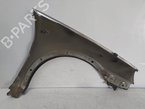 Left front fenders OPEL COMBO Box Body/MPV 1.7 DTI 16V | BP22903745C41 