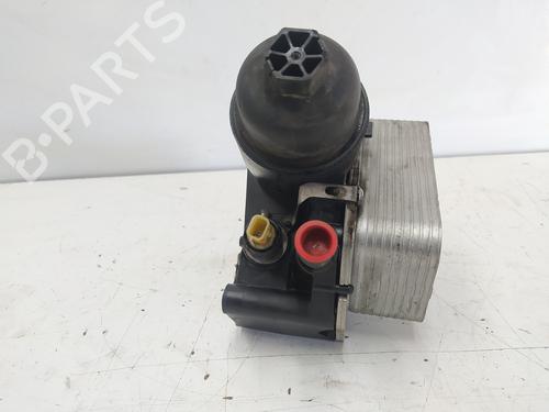 Oil radiator NISSAN QASHQAI I (J10, NJ10)  | BP18109697M33 