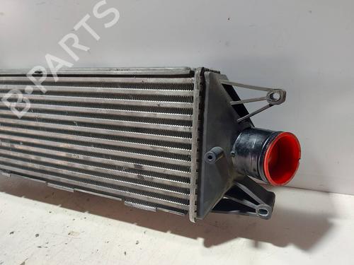 Intercooler IVECO DAILY IV Van  | BP21004253M30