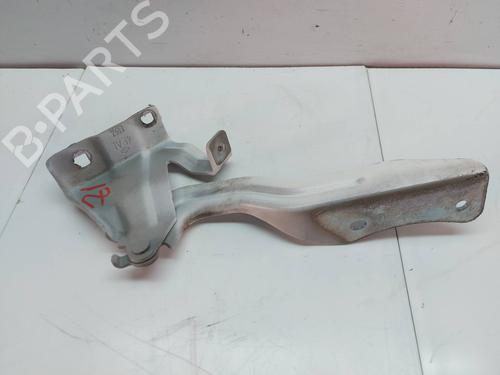 Hinge/Door check strap NISSAN QASHQAI II (J11, J11_)  | BP29541701C146 