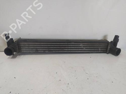 Used Intercooler SEAT IBIZA IV (6J5, 6P1) [2008-2017]  9700323