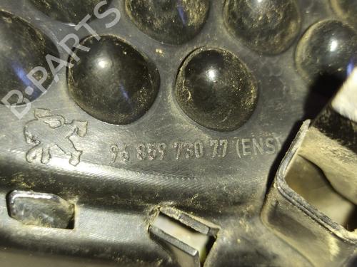 Grille PEUGEOT 3008 I MPV (0U_)  | BP30569905C40 