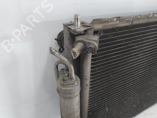 Water radiator RENAULT CLIO III (BR0/1, CR0/1)  | BP26334683M31 