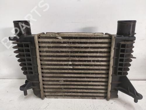 Intercooler RENAULT CLIO III (BR0/1, CR0/1) 1.2 16V (BR0R, BR1D, BR1L, CR0R) | BP32866904M30 - Image 3
