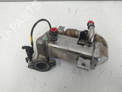 Used Egr NISSAN QASHQAI / QASHQAI +2 I (J10, NJ10, JJ10E) [2006-2014]  18109693