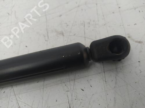 Hood lift support CITROËN XSARA (N1)  | BP17447029C139 