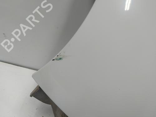 Left front fenders RENAULT KANGOO (KC0/1_) 1.5 dCi | BP16156995C41 